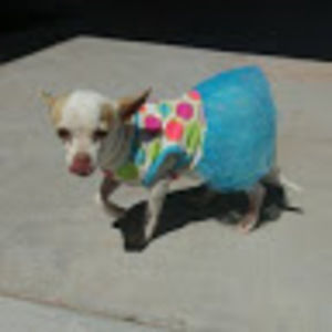 Meet your Posher, Dina